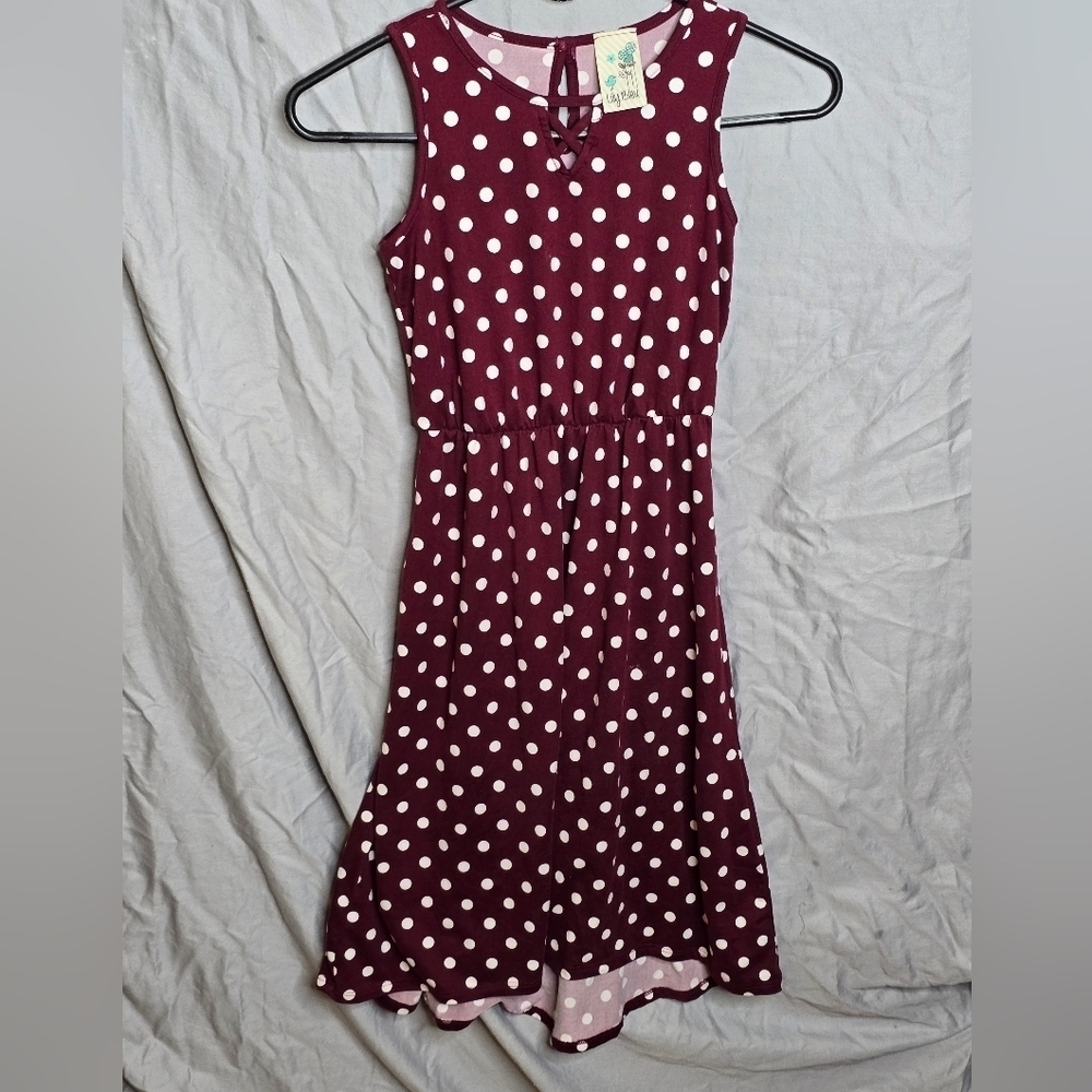 Lily Bleu Dress